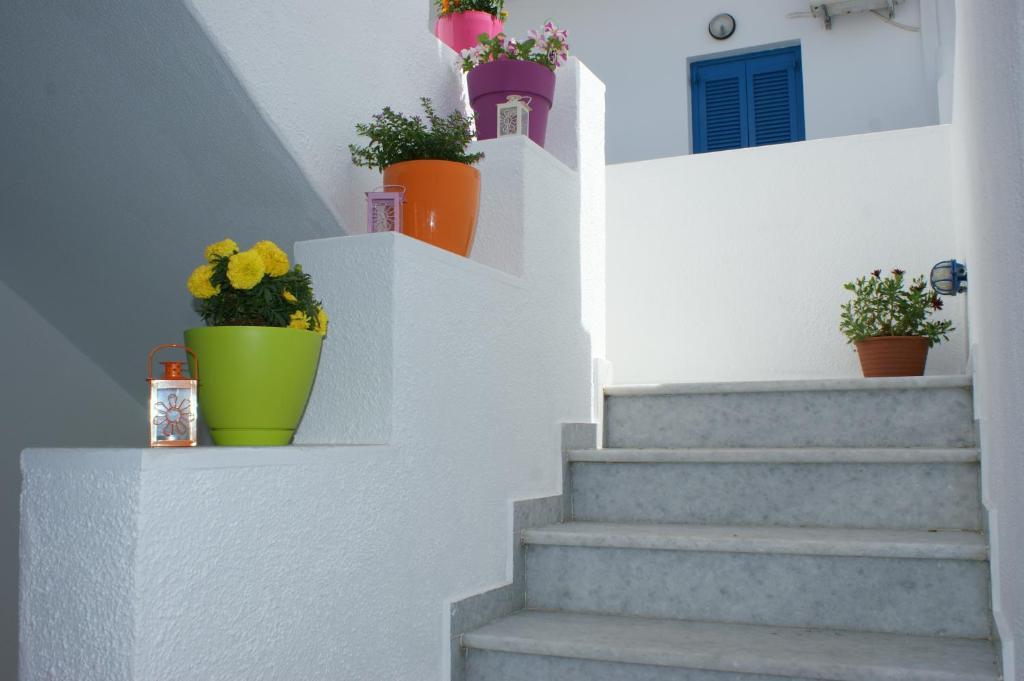 Naxos City Elia Studios מראה חיצוני תמונה